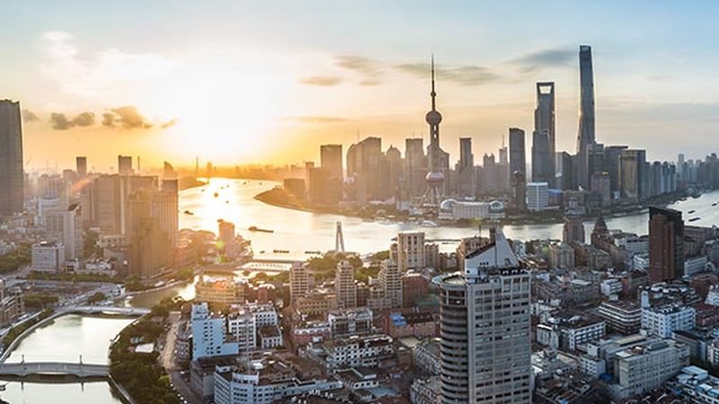 人力资源共享中心项目招标流程解析**